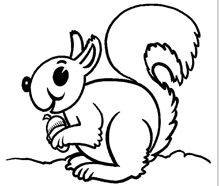 Coloring page: Squirrel (Animals) #6138 - Free Printable Coloring Pages