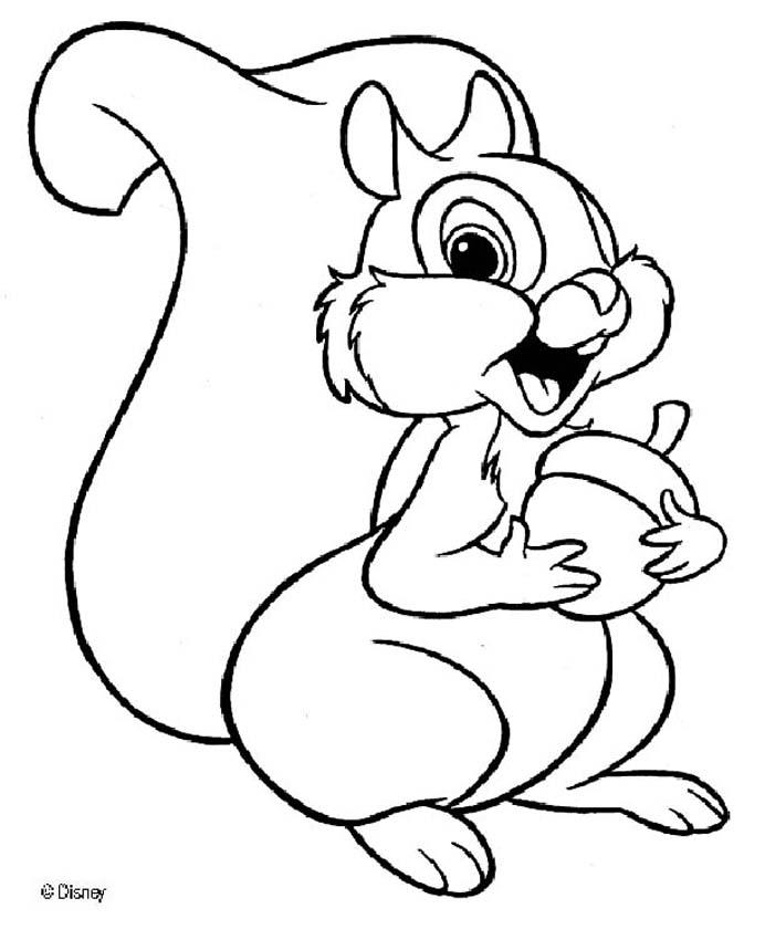 Coloring page: Squirrel (Animals) #6141 - Free Printable Coloring Pages