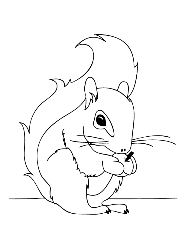 Coloring page: Squirrel (Animals) #6142 - Free Printable Coloring Pages