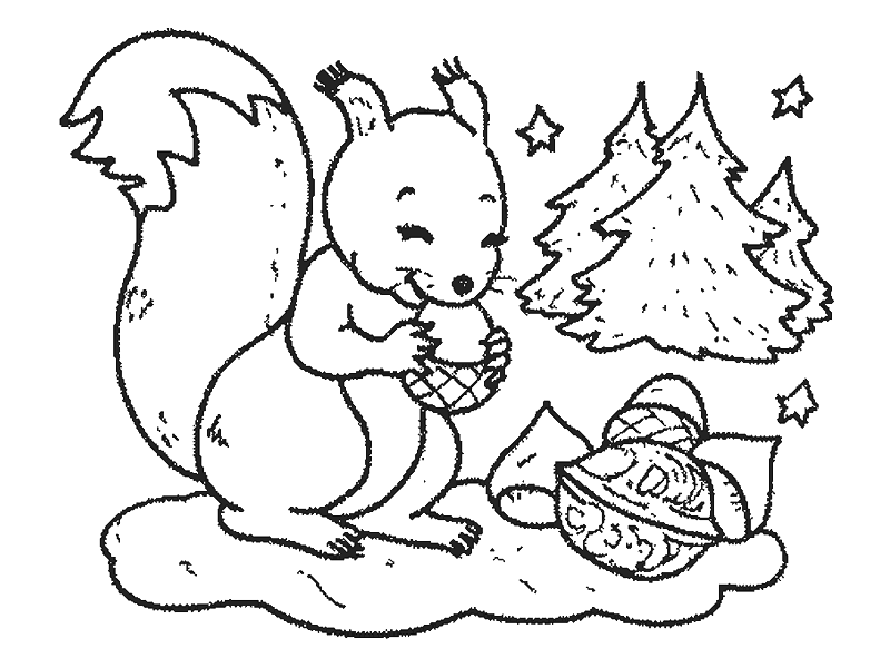 Coloring page: Squirrel (Animals) #6155 - Free Printable Coloring Pages