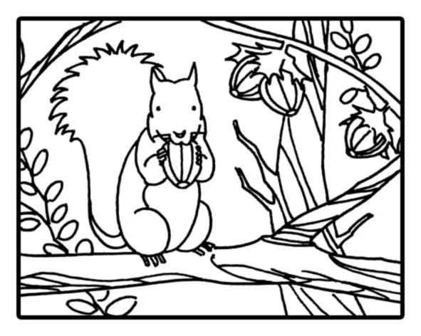 Coloring page: Squirrel (Animals) #6159 - Free Printable Coloring Pages