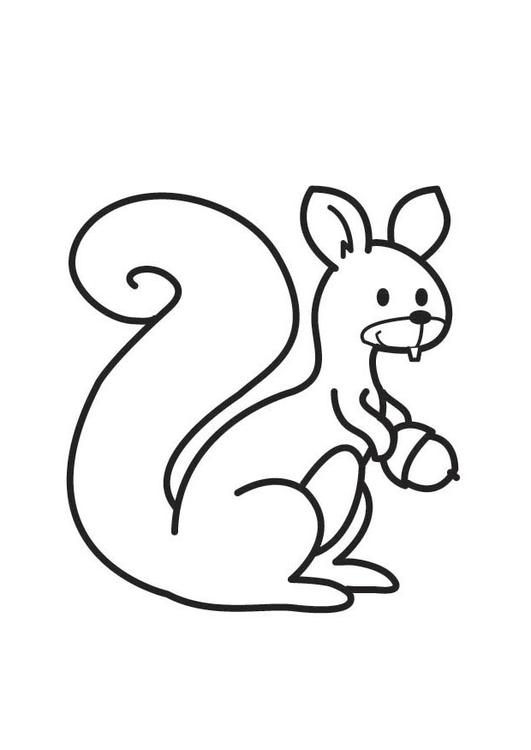 Coloring page: Squirrel (Animals) #6164 - Free Printable Coloring Pages