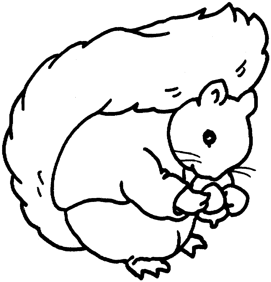 Coloring page: Squirrel (Animals) #6166 - Free Printable Coloring Pages