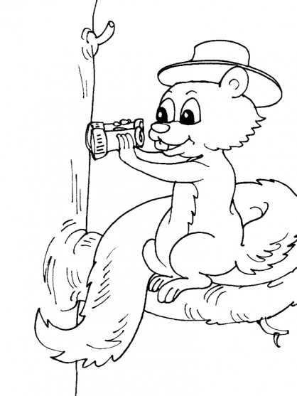 Coloring page: Squirrel (Animals) #6168 - Free Printable Coloring Pages