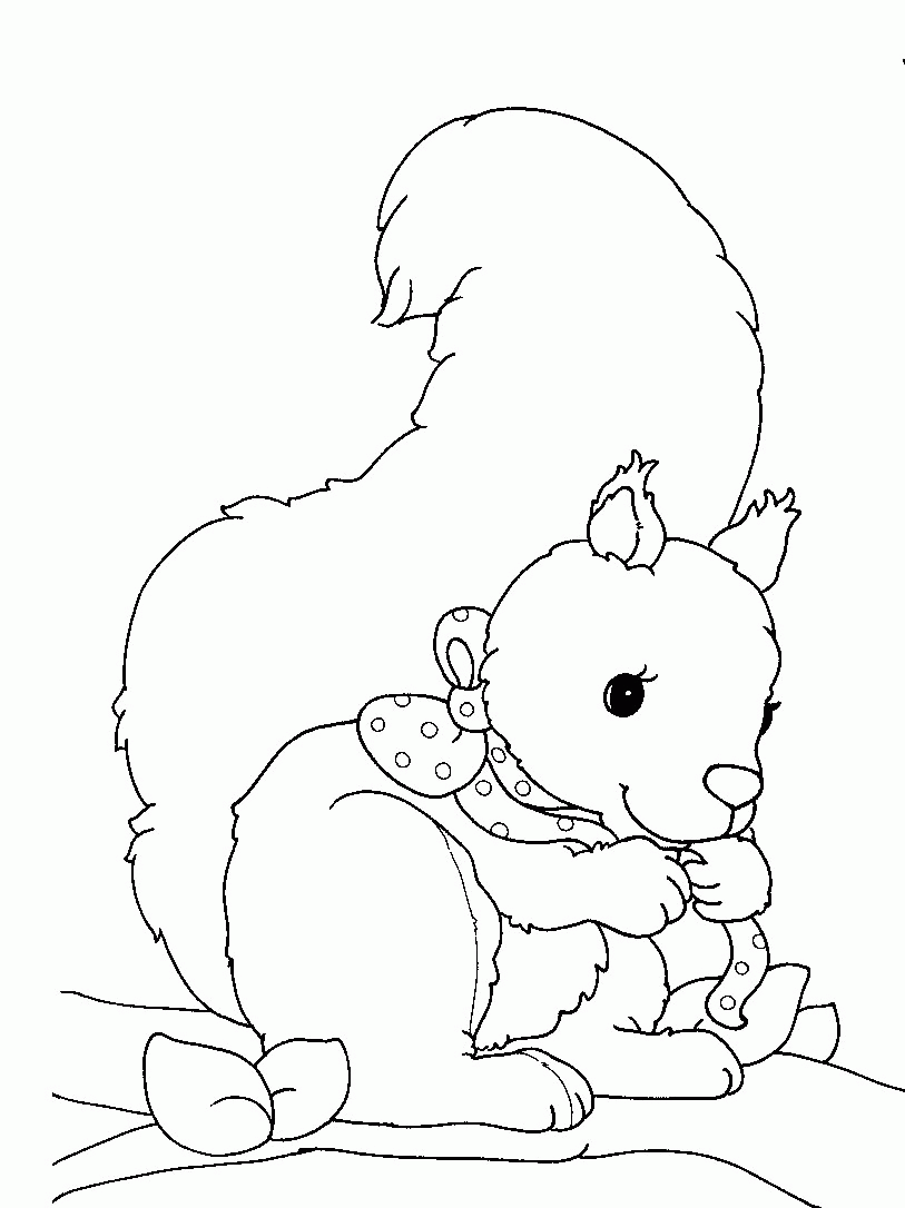 Coloring page: Squirrel (Animals) #6175 - Free Printable Coloring Pages
