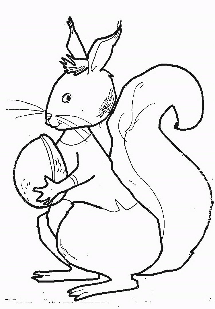 Coloring page: Squirrel (Animals) #6179 - Free Printable Coloring Pages