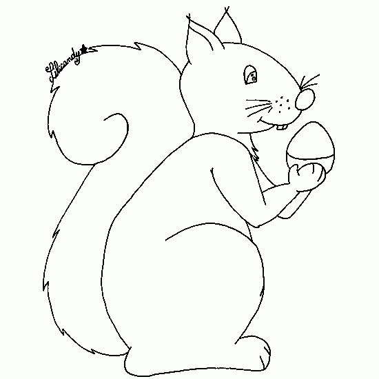 Coloring page: Squirrel (Animals) #6183 - Free Printable Coloring Pages