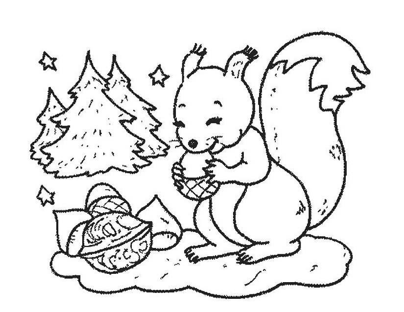 Coloring page: Squirrel (Animals) #6188 - Free Printable Coloring Pages