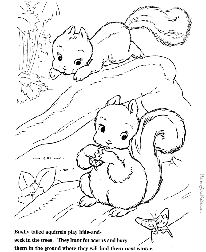Coloring page: Squirrel (Animals) #6191 - Free Printable Coloring Pages