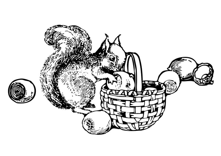 Coloring page: Squirrel (Animals) #6193 - Free Printable Coloring Pages