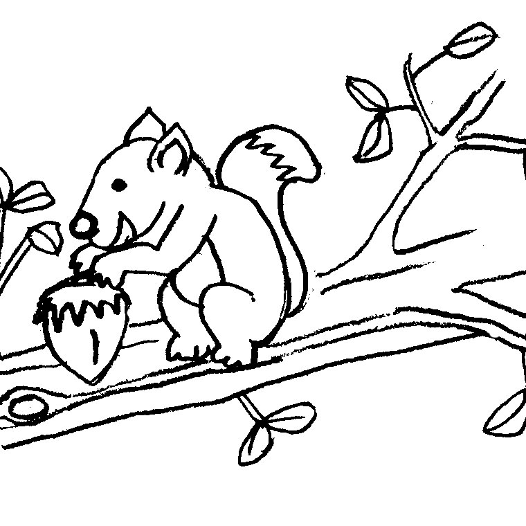 Coloring page: Squirrel (Animals) #6194 - Free Printable Coloring Pages