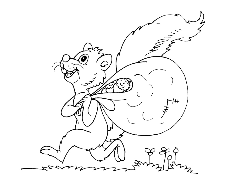 Coloring page: Squirrel (Animals) #6198 - Free Printable Coloring Pages