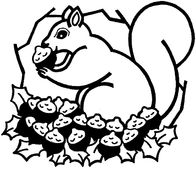 Coloring page: Squirrel (Animals) #6201 - Free Printable Coloring Pages