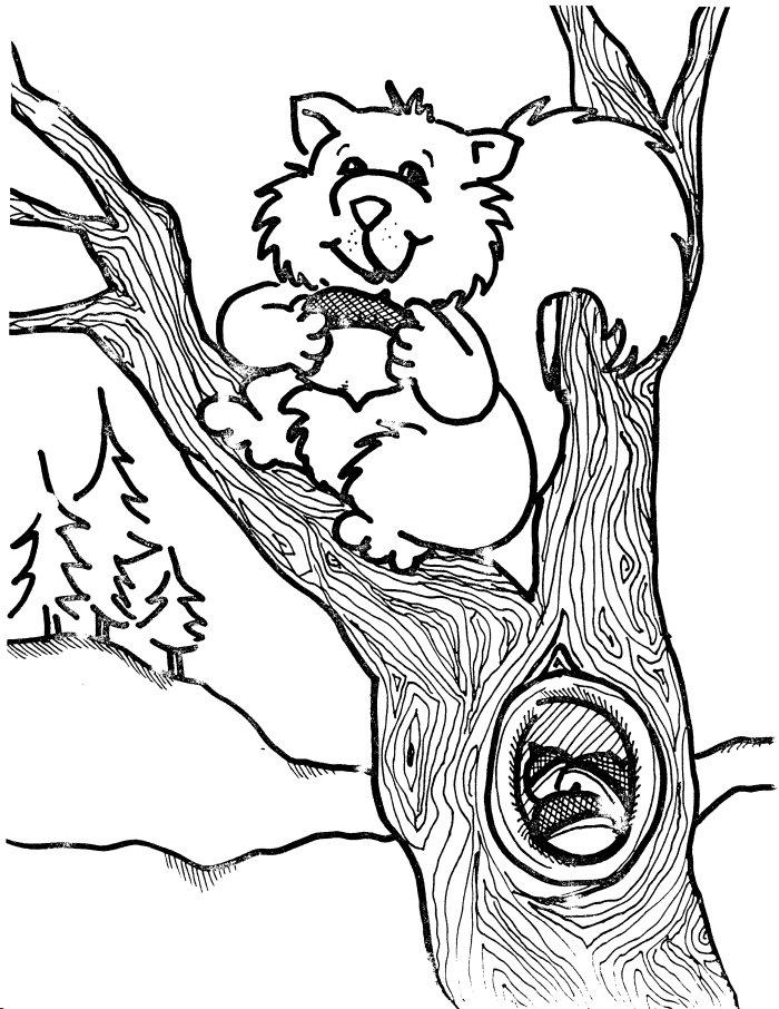 Coloring page: Squirrel (Animals) #6204 - Free Printable Coloring Pages