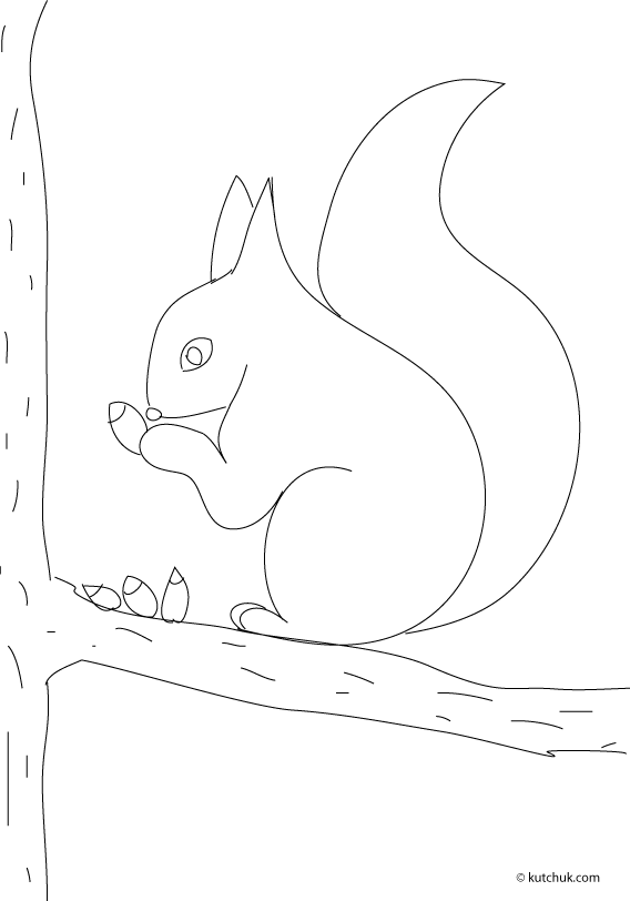 Coloring page: Squirrel (Animals) #6211 - Free Printable Coloring Pages