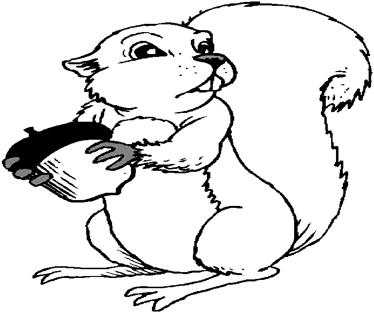 Coloring page: Squirrel (Animals) #6228 - Free Printable Coloring Pages