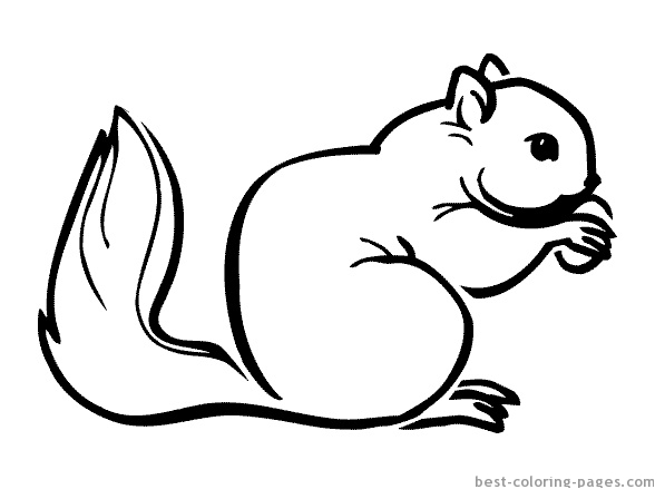 Coloring page: Squirrel (Animals) #6240 - Free Printable Coloring Pages