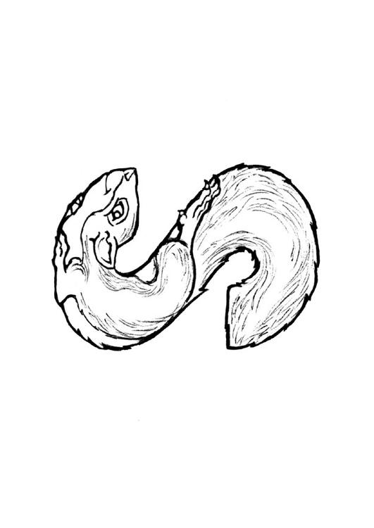 Coloring page: Squirrel (Animals) #6241 - Free Printable Coloring Pages
