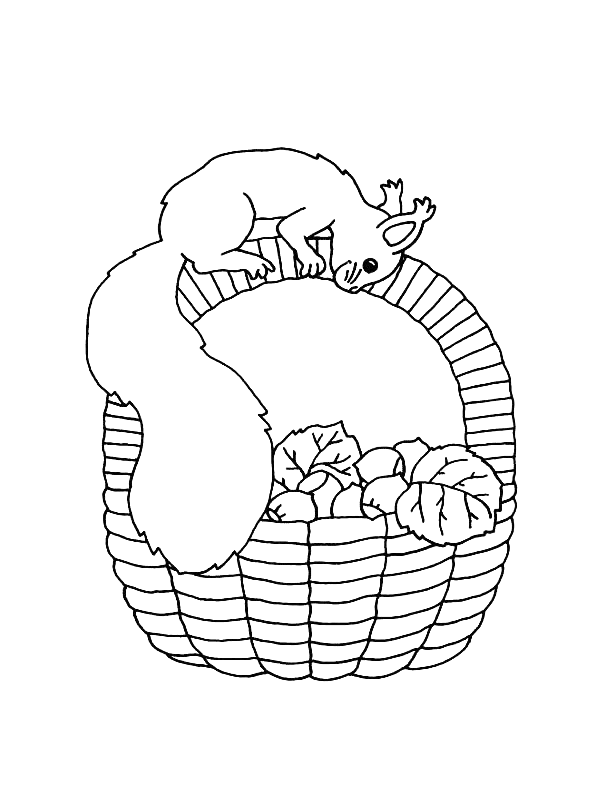 Coloring page: Squirrel (Animals) #6243 - Free Printable Coloring Pages