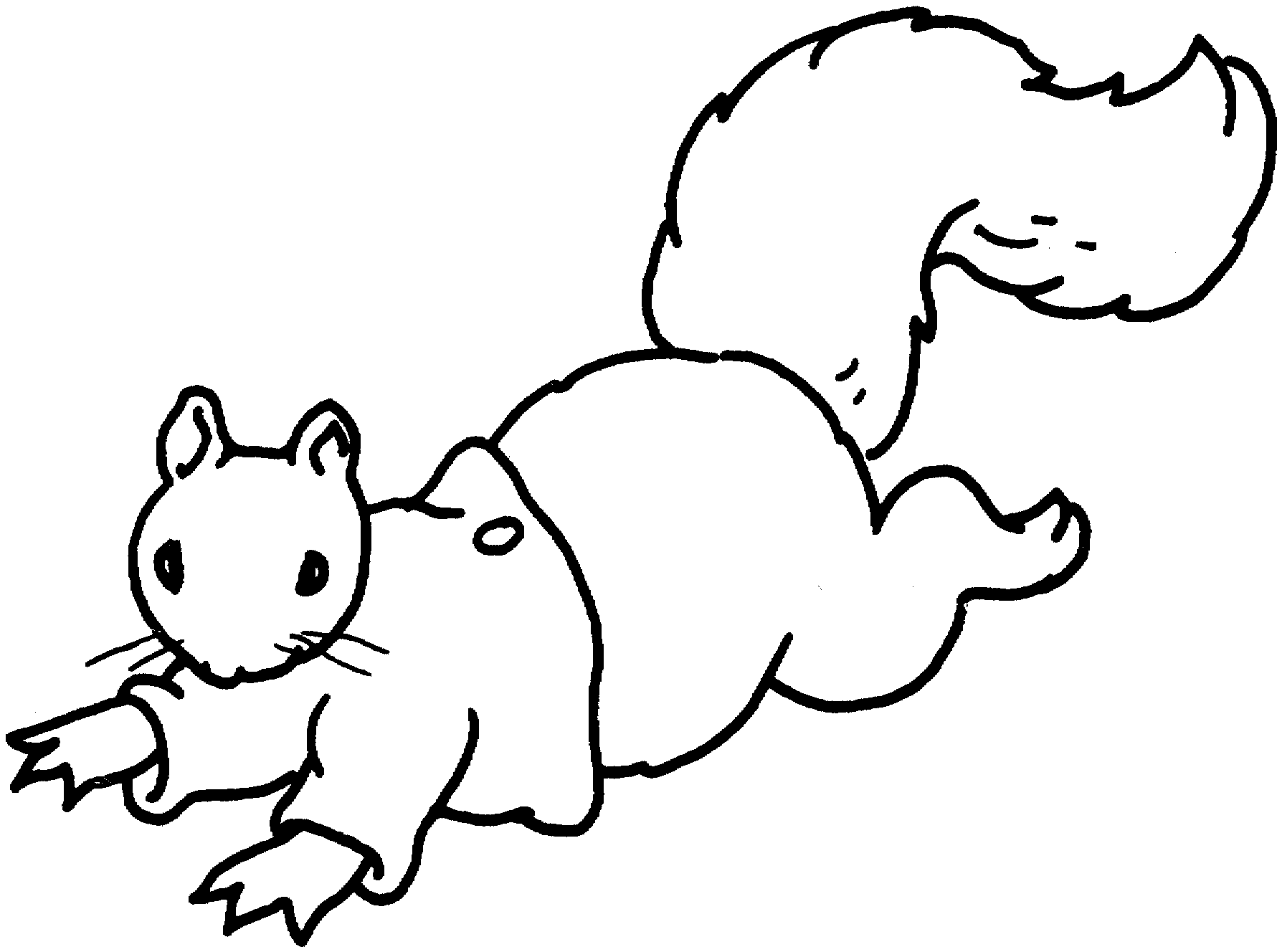 Coloring page: Squirrel (Animals) #6246 - Free Printable Coloring Pages