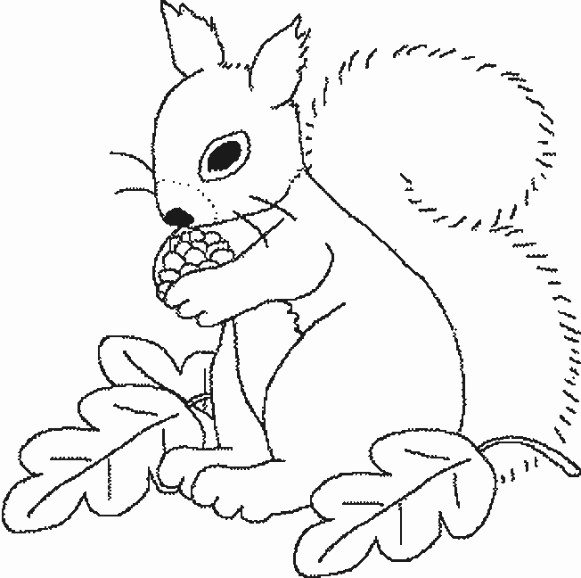 Coloring page: Squirrel (Animals) #6249 - Free Printable Coloring Pages
