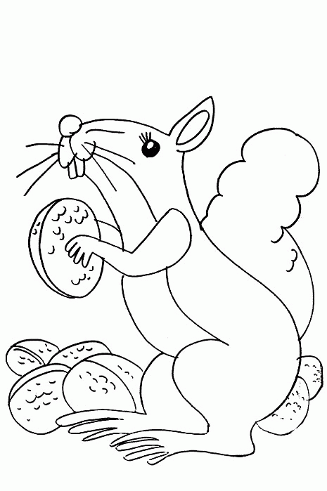 Coloring page: Squirrel (Animals) #6256 - Free Printable Coloring Pages