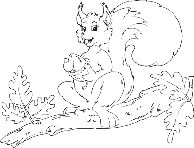 Coloring page: Squirrel (Animals) #6258 - Free Printable Coloring Pages