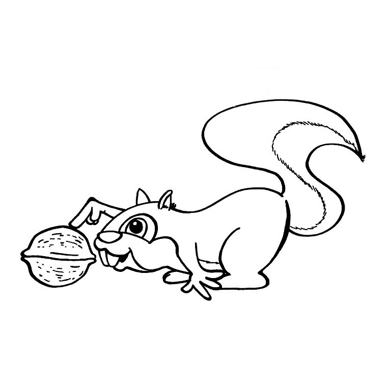 Coloring page: Squirrel (Animals) #6263 - Free Printable Coloring Pages