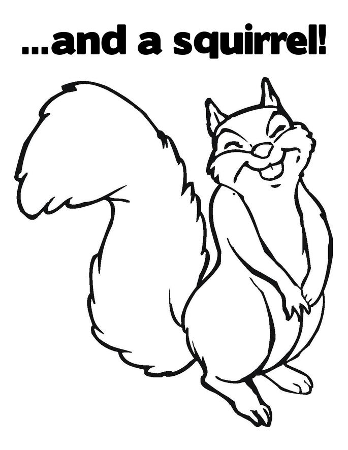 Coloring page: Squirrel (Animals) #6272 - Free Printable Coloring Pages