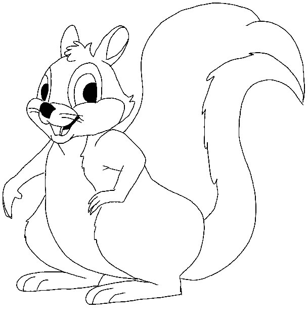 Coloring page: Squirrel (Animals) #6275 - Free Printable Coloring Pages