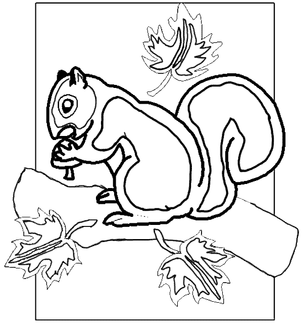Coloring page: Squirrel (Animals) #6278 - Free Printable Coloring Pages