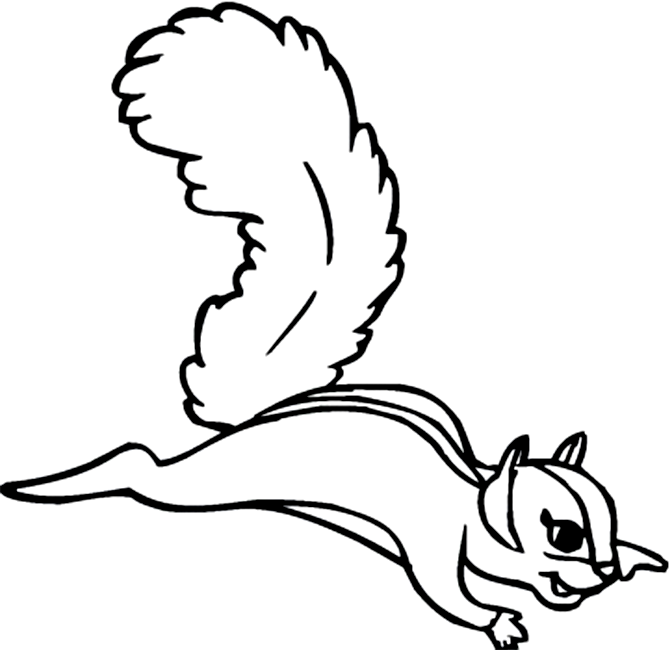 Coloring page: Squirrel (Animals) #6279 - Free Printable Coloring Pages