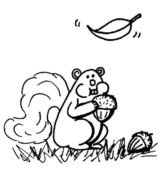 Coloring page: Squirrel (Animals) #6284 - Free Printable Coloring Pages
