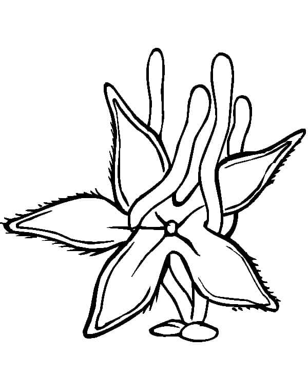Free printable Starfish coloring page #187133 from Animals collection