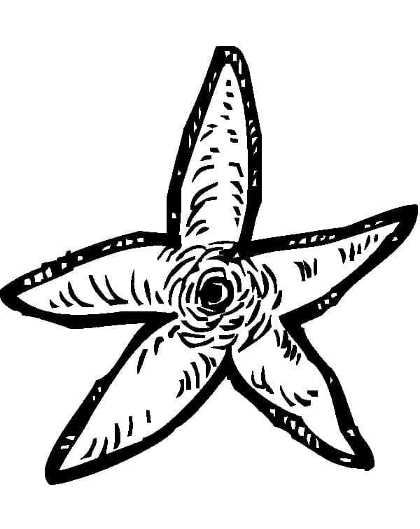 Free printable Starfish coloring page #187138 from Animals collection
