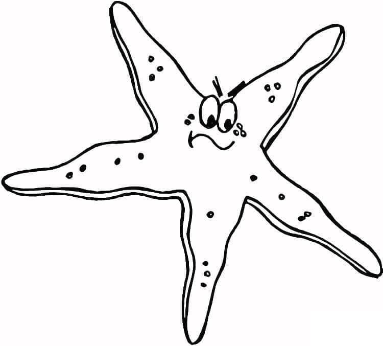 Free printable Starfish coloring page #187144 from Animals collection