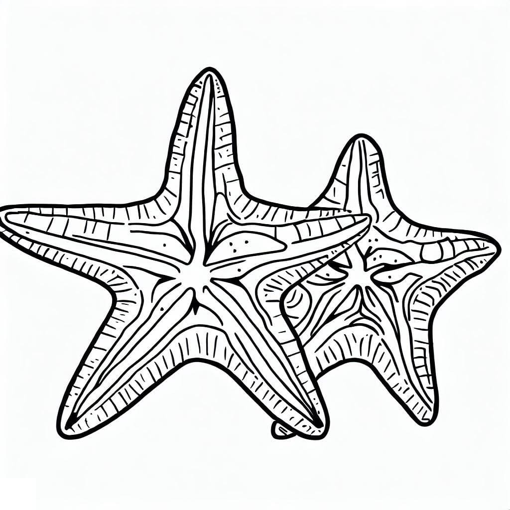 Free printable Starfish coloring page #187153 from Animals collection