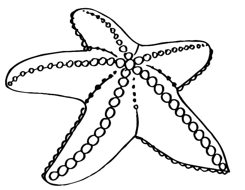 Free printable Starfish coloring page #187154 from Animals collection