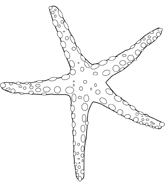 Coloring page: Starfish (Animals) #6703 - Free Printable Coloring Pages