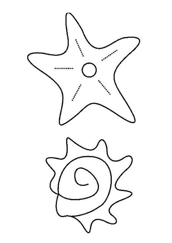 Coloring page: Starfish (Animals) #6723 - Free Printable Coloring Pages