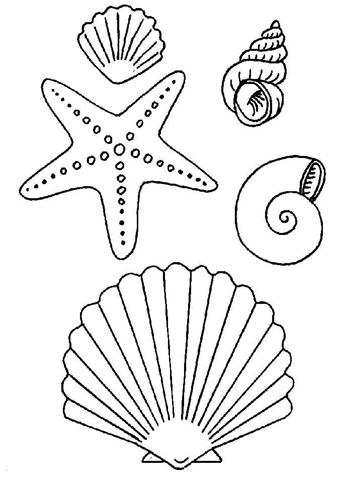 Coloring page: Starfish (Animals) #6794 - Free Printable Coloring Pages