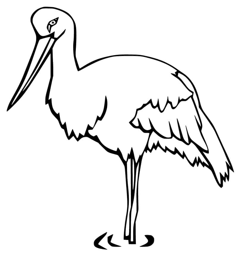 Free printable Stork coloring page #185243 from Animals collection Free printable Stork coloring page #185243 from Animals collection