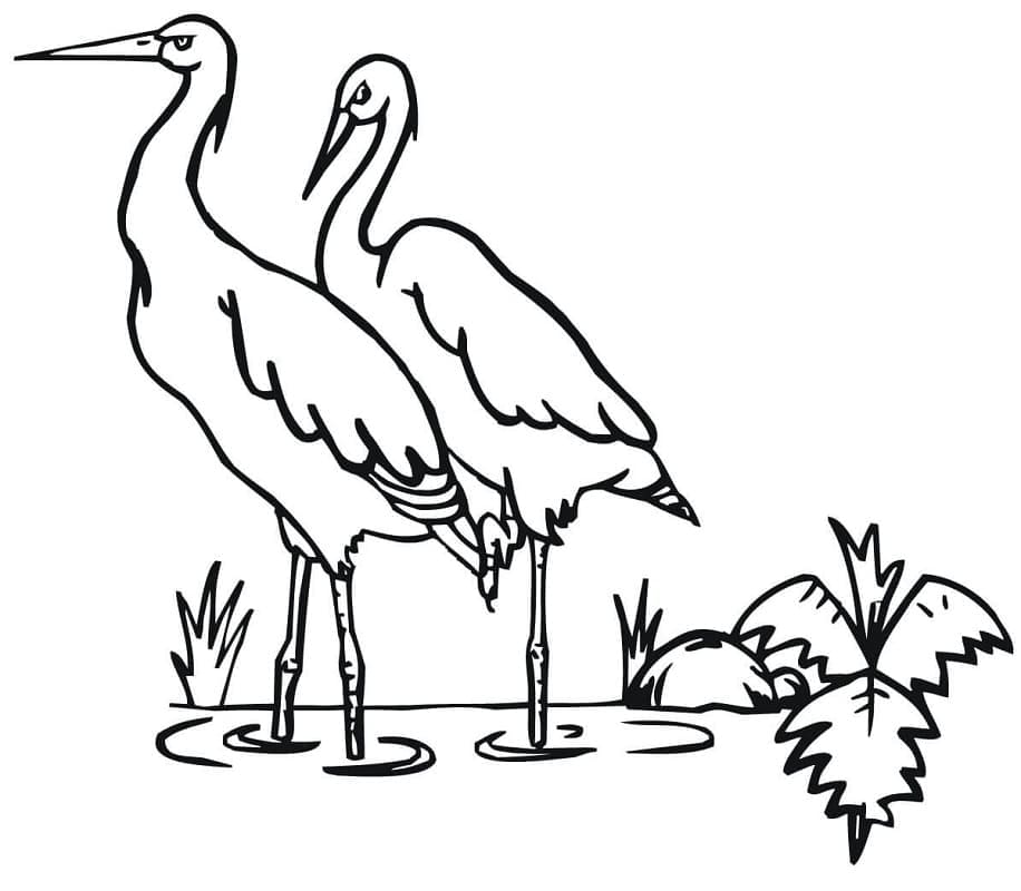 Free printable Stork coloring page #185250 from Animals collection Free printable Stork coloring page #185250 from Animals collection