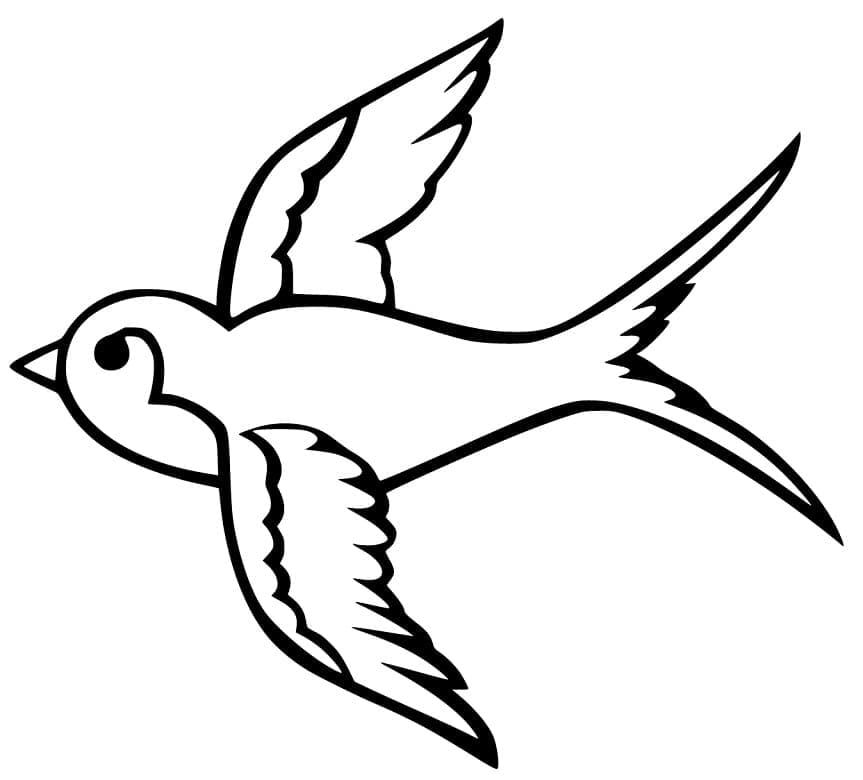 Free printable Swallow coloring page #210278 from Animals collection