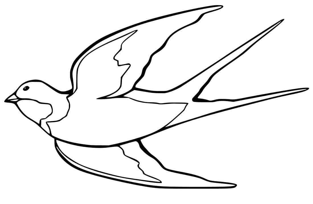 Free printable Swallow coloring page #210280 from Animals collection