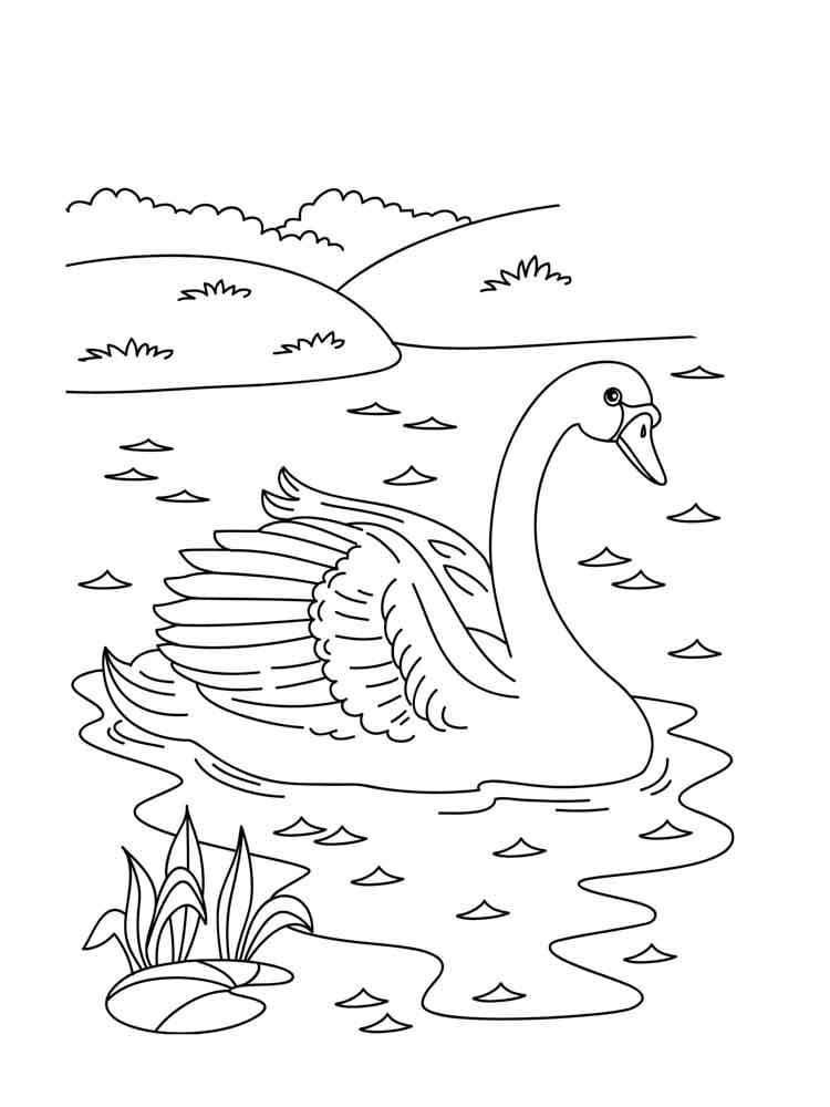 Free printable Swan coloring page #185195 from Animals collection