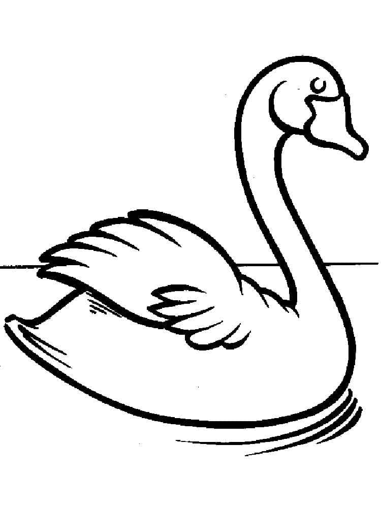 Free printable Swan coloring page #185203 from Animals collection