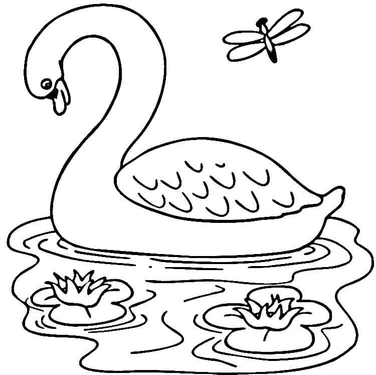 Free printable Swan coloring page #185206 from Animals collection