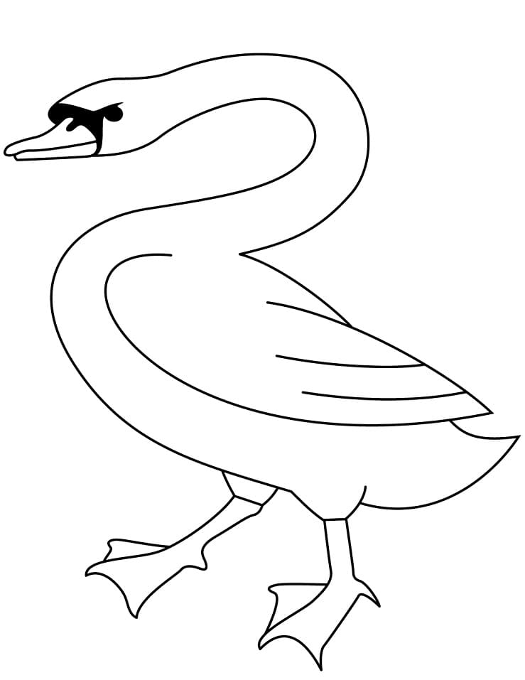 Free printable Swan coloring page #185215 from Animals collection Free printable Swan coloring page #185215 from Animals collection
