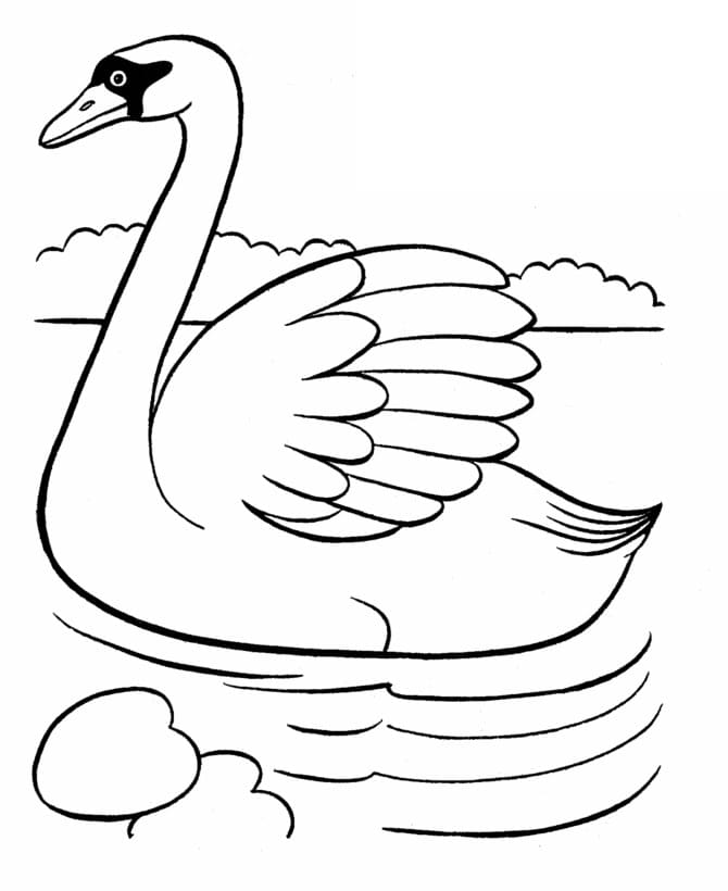 Free printable Swan coloring page #185220 from Animals collection
